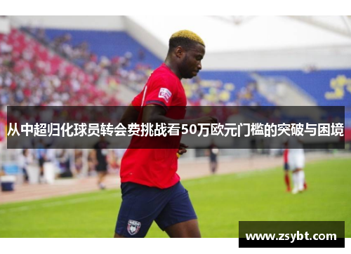 从中超归化球员转会费挑战看50万欧元门槛的突破与困境 从中超归化球员转会费挑战看50万欧元门槛的突破与困境