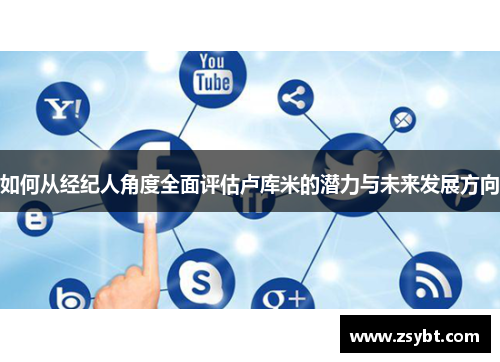 如何从经纪人角度全面评估卢库米的潜力与未来发展方向